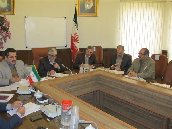 هشتمین جلسه کارگروه تخصصی سلامت و امنیت غذایی استان برگزار شد.