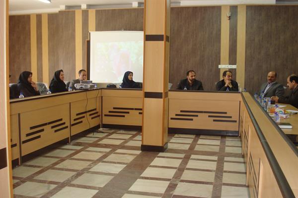جلسه ستاد اجرایی برنامه پزشک خانواده شهری در شهرستان سنقر