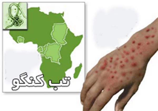 آموزش گسترده به کلیه اقشار جامعه در زمینه بیماری تب کریمه کنگو