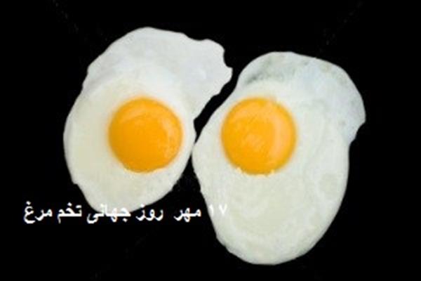 17 مهر ماه روزجهانی تخم مرغ با شعار ((خود مراقبتی تغذیه ایی با یک تخم مرغ در روز  ))