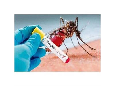 No Reported Cases of Dengue Fever or Infected Aedes Mosquitoes in Kermanshah