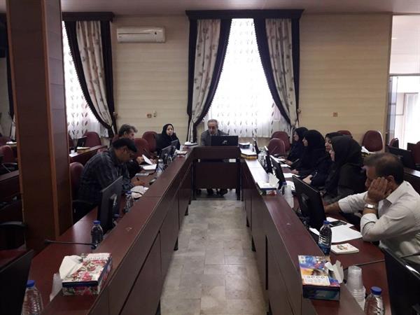 جلسه کمیته استانی برنامه جامع پیشگیری و کنترل اضافه وزن و چاقی در کودکان و نوجوانان ( ایران اکو ) برگزار گردید
