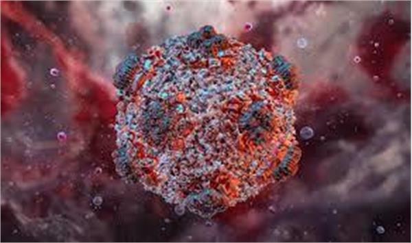hantavirus has not yet reached the stage of a global pandemic