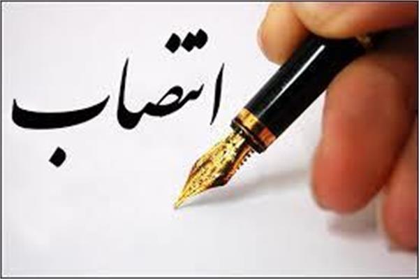 معاون فنی