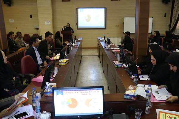 دومین جلسه هماهنگی ـ آموزشی برنامه بهبود سلامت کارکنان دولت برگزار گردید.