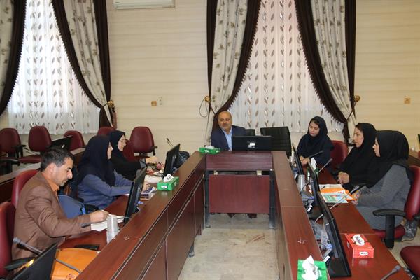 کمیته منطقه ای بازنگری برنامه مدارس مروج سلامت دانشگاه های غرب کشور در کرمانشاه برگزار شد